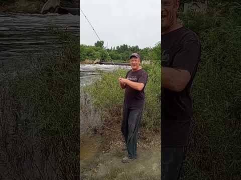 Fishing With Spinner Bait.