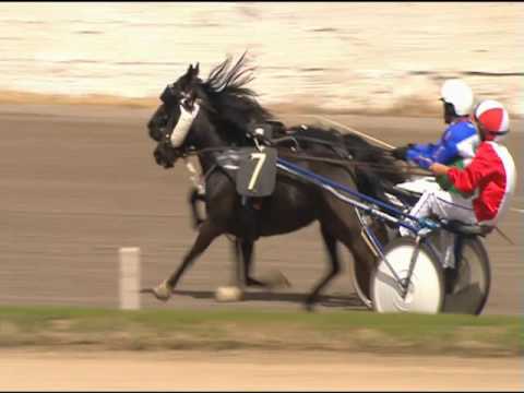 Trotto 01/05/2016 - Corsa Pony