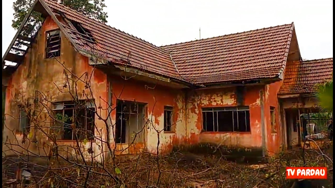 Idoso Catraqueou Uma Monareta e Ficou na Traseira de Uma Mula Mas Não Acabou Bem