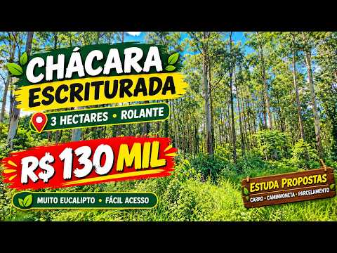 Vídeo