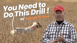 Training a Bird Dog - Restrained Chase Drill for Pointing Dogs by George Hickox