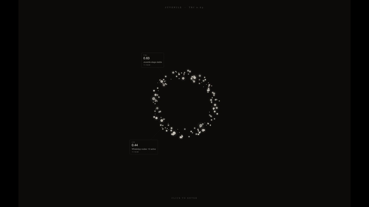 CS50s Python: Final Project = SILVIA CORE