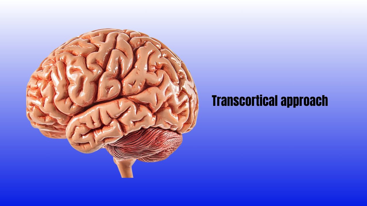 David Tafur Muñoz-2476