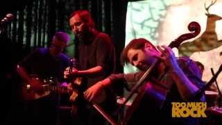 matt pond PA - Grave's Disease (live)