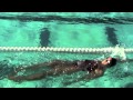 Stroke films *June/2014 @Palo Alto Stanford Aquatics/Pro Team