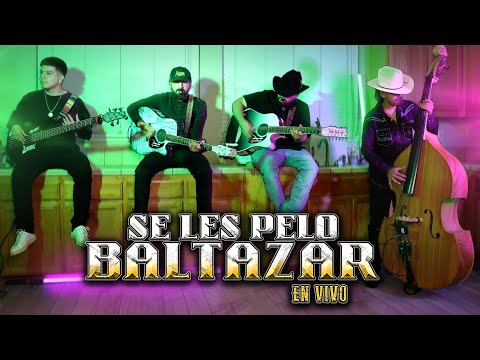 Hermanos Figueroa - Se Les Pelo Baltazar (En Vivo 2024)