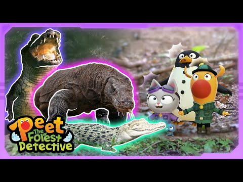 Komodo Dragon's s Big Adventure 🐲 | Animal Stories For Kids | Peet The Forest Detective