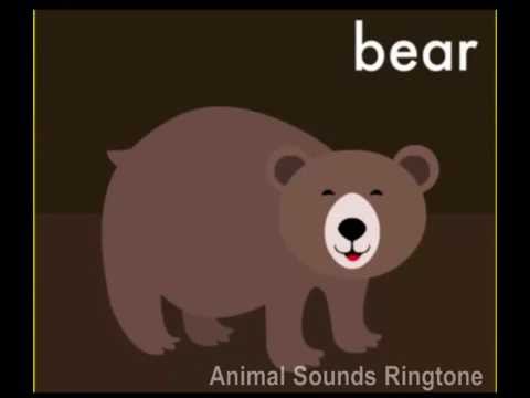 Real Animal Sounds Ringtones Video