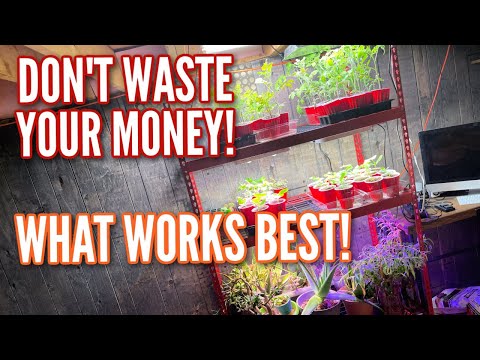 YouTube video about: Can you use a reptile light for plants?