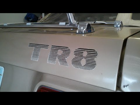 1980 Triumph TR8 (CC-1380487) for sale in Bluffton, South Carolina