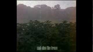 AND ALSO THE TREES - So This Is Silence