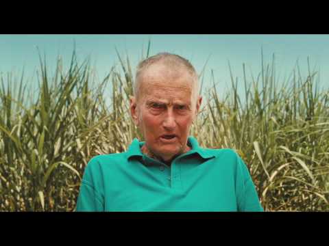 Тростниковые жабы: Оккупация - Trailer