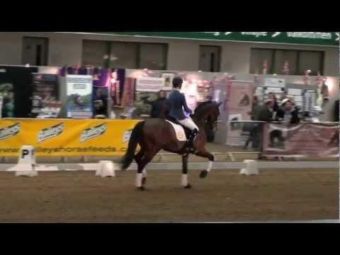 BBSH Stallion Event 2013 - Erions