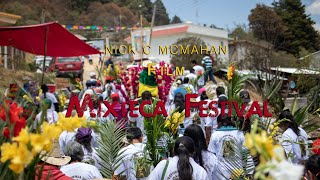 preview picture of video 'Festival In Yucunino'