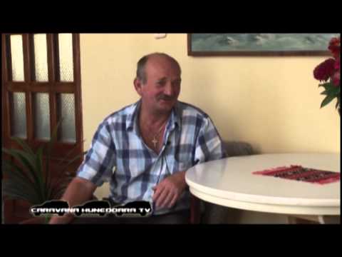 CARAVANA HD - Băcia