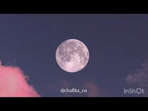 Chafika-fly me to the moon ( Frank sinatra)