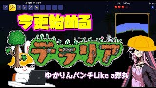 【テラリア】ゆかりさんが今更テラリアを始めるそうです。【ボイロ実況】