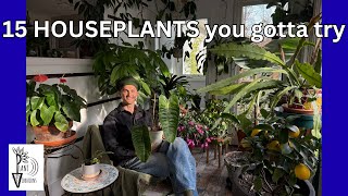 15 Great & Unique HOUSEPLANTS to Grow