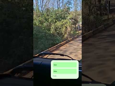 Boa tarde amigo de Mato rico forte abraço Bom final de sábado pra voceis