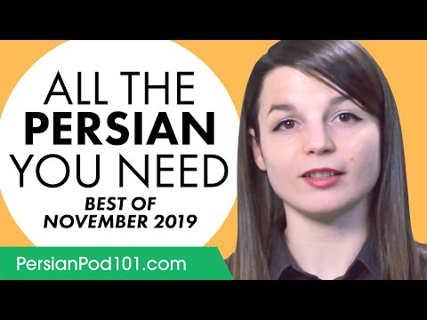 Your Monthly Dose of Persian - Best of November 2019
