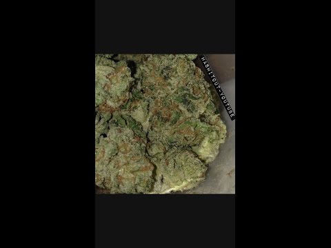 download lagu mp3 mp4 Kryptonite Og, download lagu Kryptonite Og gratis, unduh video klip Kryptonite Og