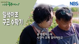 [꽃 농부와 여왕벌] 농사 기록용으로 시작한 유튜브.. 이제는 유튜브 제작자?