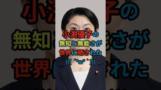 【衝撃】小渕優子「経済知識ゼロ」!? 財務省の操り人形と化した“減税反対”の真相 #政治#小渕優子 #雑学