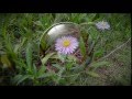 LG X Cam Dual Camera Pop Out Picture Function