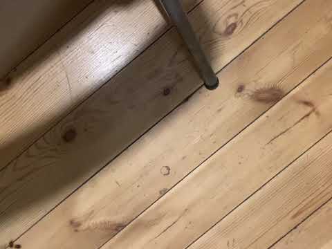 24 minutes of farts. i got them all. juicy, dry, soft, hard, silent, loud.