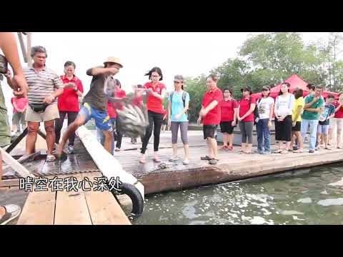 新加坡心灵法门放生花絮  119 1jiFlLnaH3w 720p 1650977610856