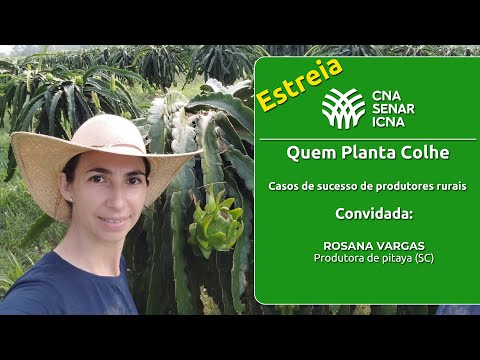 Rosana Vargas - Produtora de pitaya - Ermo (SC)