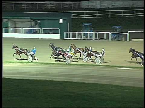 Trotto 20/11/2016 - prova di qualifica