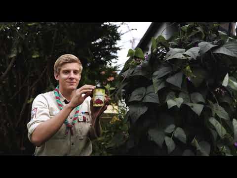 Kochen — How-to: Lagerfeuer (3/3) | DPSG Freising