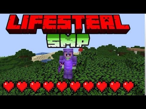 ULTIMATE LIFESTEAL GAMING ON WAGERMANIK SERVER! #minecraft