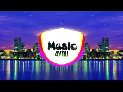 Herplay feat. Limmona - Into the Night