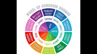 mystery train 8-6-77