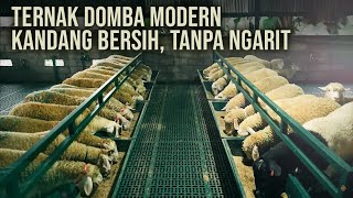 Download lagu Mantan Kernet Truk Bisa Beli Rumah, Sawah & Mobil dari Ternak Domba mp3