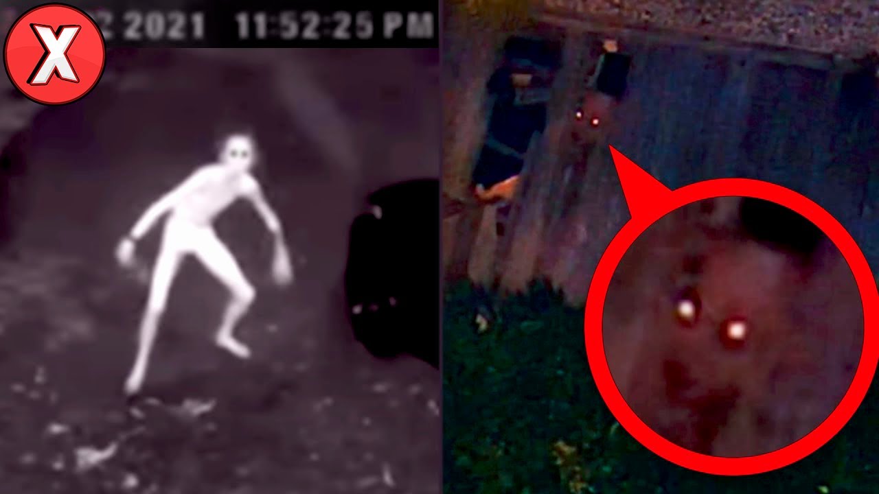 24 Vídeos Que Só Corajosos Conseguem Ver