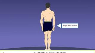 CBSE 8 Science Reaching the age of Adolescence adolescence and puberty 1