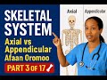 Skeletal System Axial Appendicular Bones Explained A P Part 3 17 OROMOHEALTH Afaan Oromo
