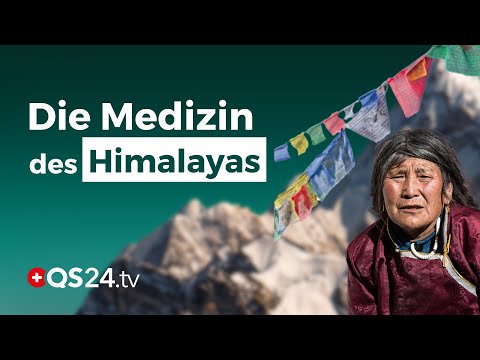 Die vergessene Medizin des Himalayas – Warum sie heute wichtiger denn je ist! | QS24