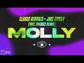 Cedric Gervais & Joel Corry - MOLLY (Will Sparks Remix) [Official Audio]