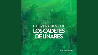 No Te Vallas Vida Mía