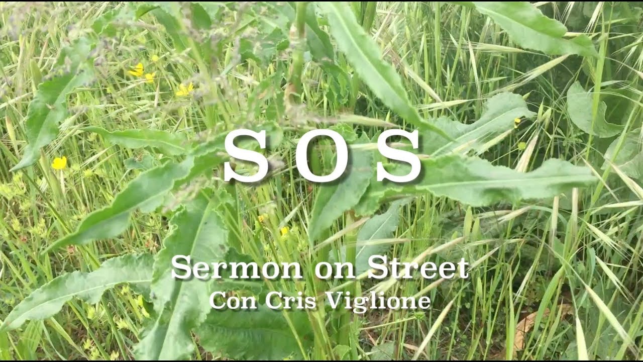S.O.S. Sermon on Street  "Il Grano e la Zizzania"