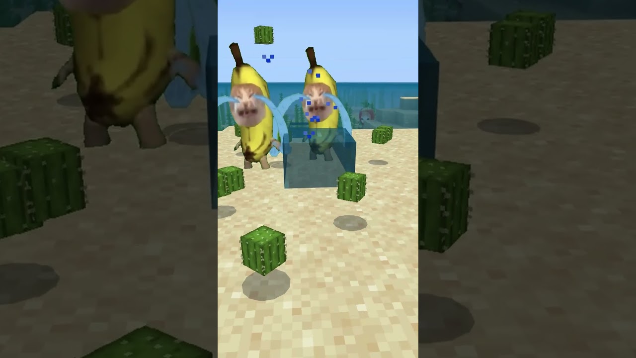 サボテンの上のバナナ猫を助けよう　#マイクラ #猫ミーム #bananacat