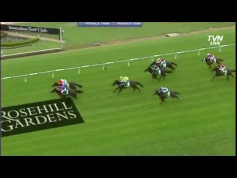 BMW Doncaster Mile - Lewis Jetta & Pierro