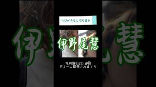 ダミーに翻弄されまくってます😖【ちびげらもん切り抜き】#shorts #ちびげらもん #旅行vlog #ハウステンボス #長崎 #切り抜き