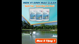 Men Vi Sinh Max Clean - Sạch Đáy Cực Nhanh - Diệt Tảo Cực Mạnh