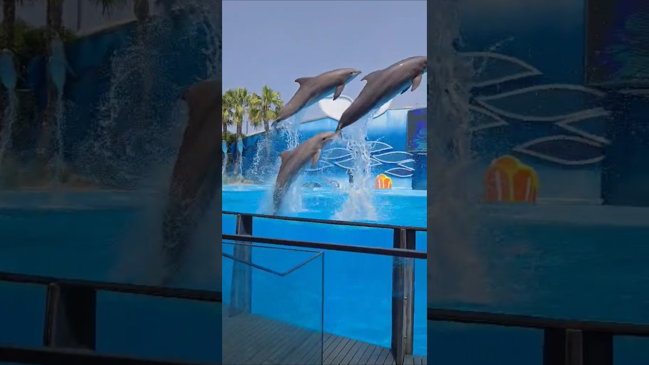 YouTube Short thumbnail