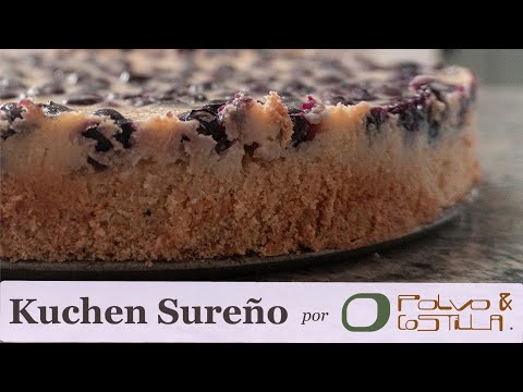 Delicious and Easy! Southern Blueberry Kuchen